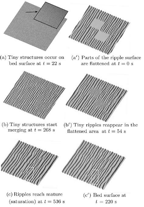 Ripples 0.5 .